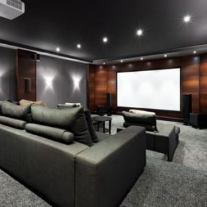 Junk Removal for Home Theater