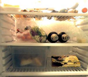 in-the-refrigerator-184175-m