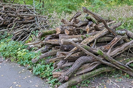 A pile of logs on the side of the road.
