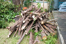 A pile of logs.
