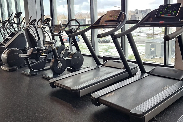 Image of several treadmills.