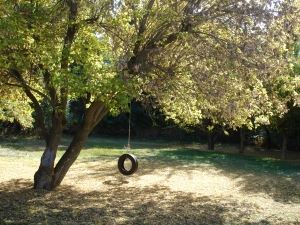tire-swing-in-autumn-1377096-m