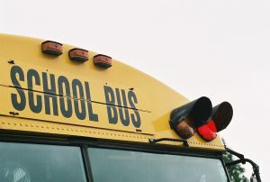 school-bus-red-light-655548-m