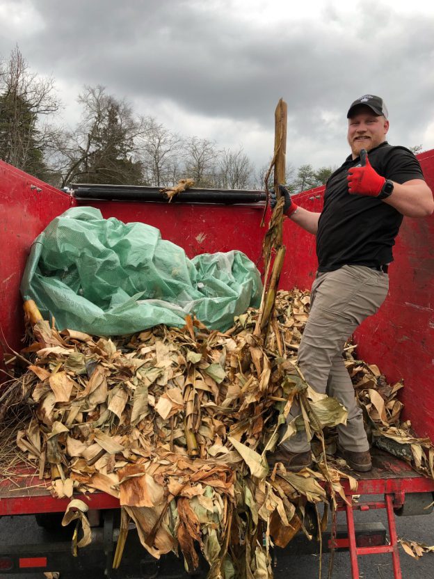 Junk King Cincinnati Removal of Yard Waste and Banana Trees