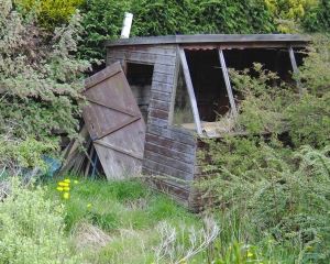 derelict-shed-1281623-m