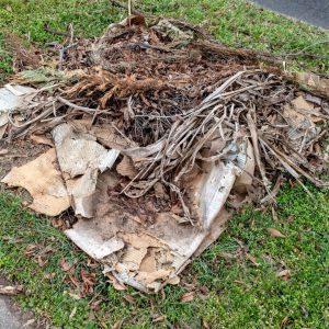 Eliminating Yard Waste Can Reduce The Risk Of Tripping and Falling That Could Result In Injuries