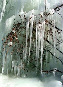 frozen-fall-883189-m