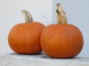 two-pumpkins-1438562-m
