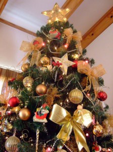 my-2007-christmas-tree-1443617