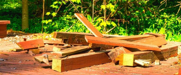 Junk King Louisville Backyard Cleanup and Yard Debris Removal