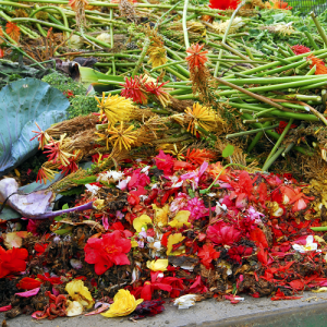 Pile of dead flowers 