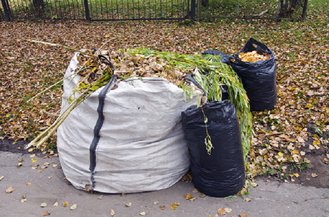 Large Bags filled with Yard Waste