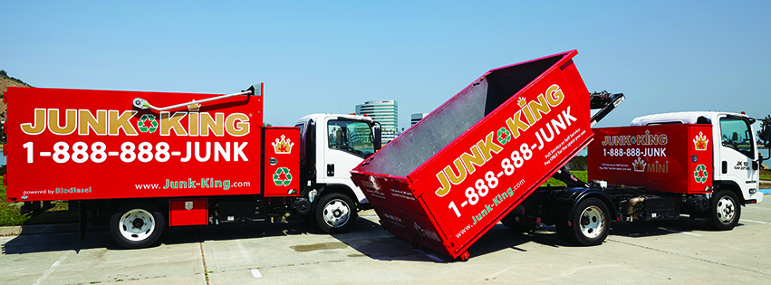 dumpster vs junk removal service