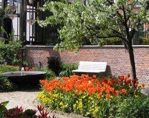 tulips-and-bench-1235370