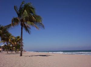 lauderdale-by-the-sea-level-104654-m