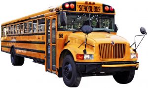 school-bus-910927-m