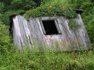 old-shed-1145595-m