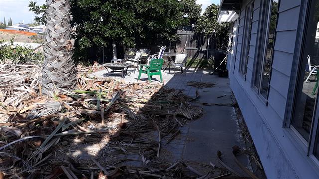 an Diego Downtown Backyard Clean Up