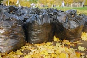 Yard Waste Removal - The Easy Way Junk-King  Sonoma