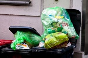 Household-Waste-The-Proper-Way-To-Dispose-Junk-King-sonoma