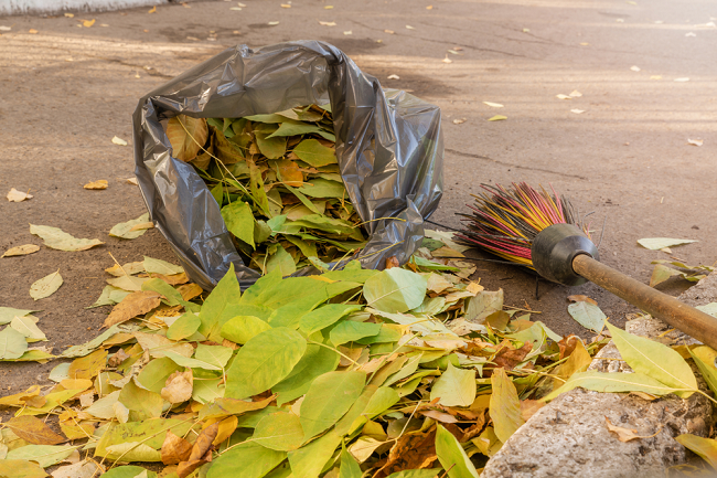 Bag filled with leaves and debris