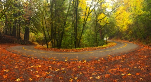 La Honda mountain sunrise view with Santa Cruz forest fog