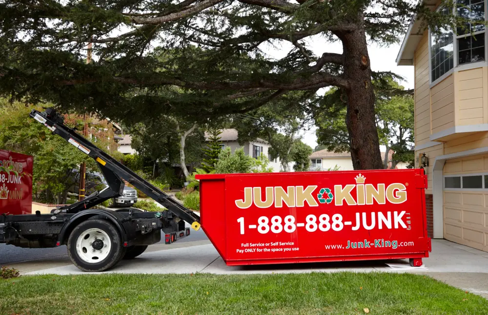 Roll-off dumpster under tree shade ready for Peninsula cleanout