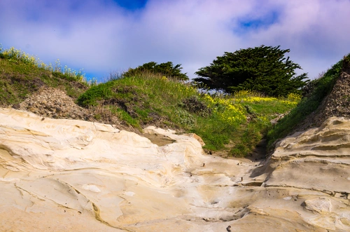 Cliffside beach and coastal bluffs of San Gregorio, CA