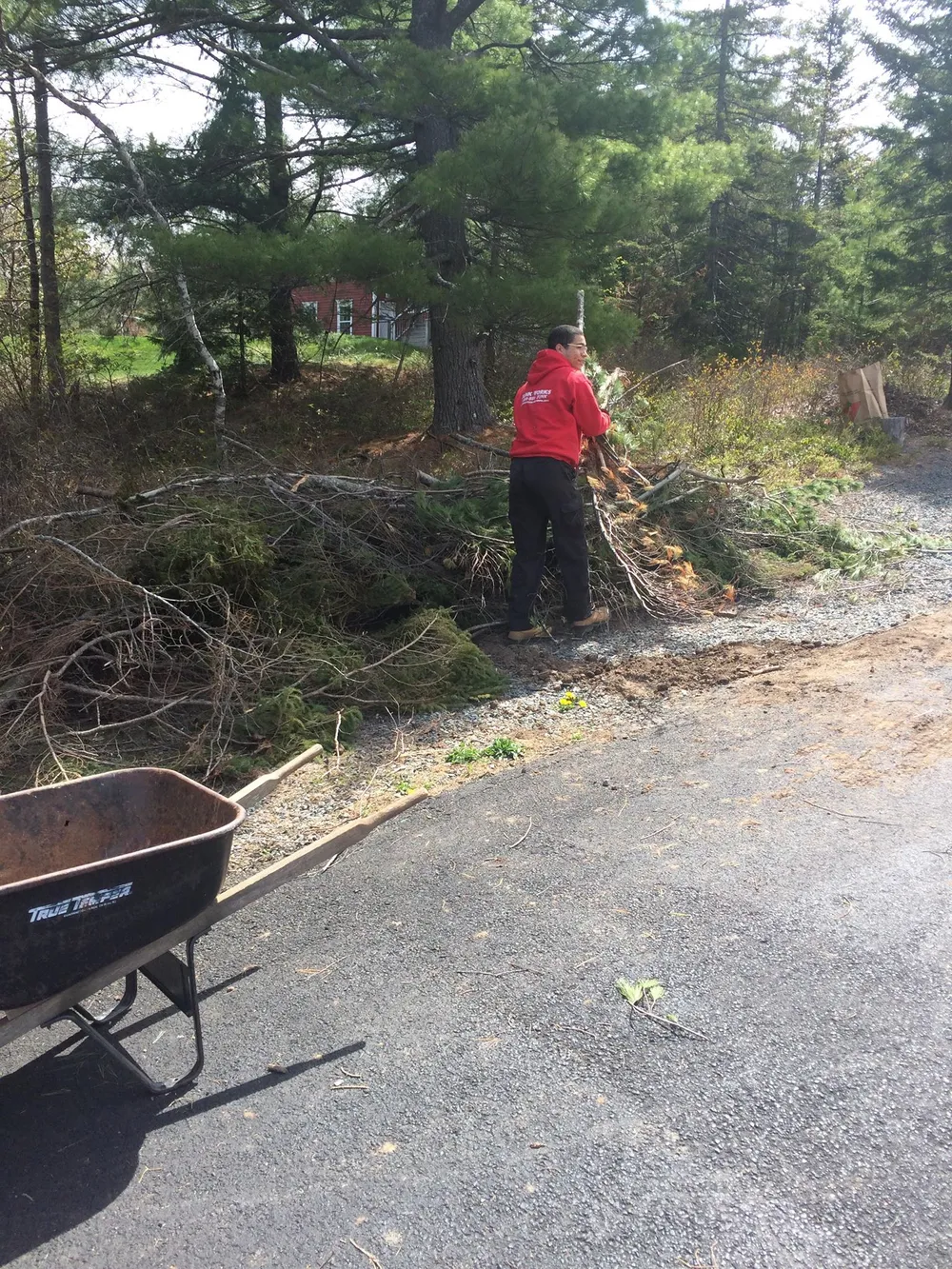 Yard waste cleanup in Pacifica performed by Junk King crew