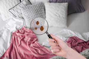 A person examines a bed with pillows and blankets using a magnifying glass.
