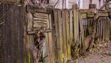 Junk Removal For Wood, Lumber, And Timber