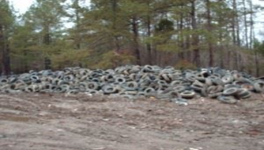 Pile of old tires dumped in an outdoor area near trees.
