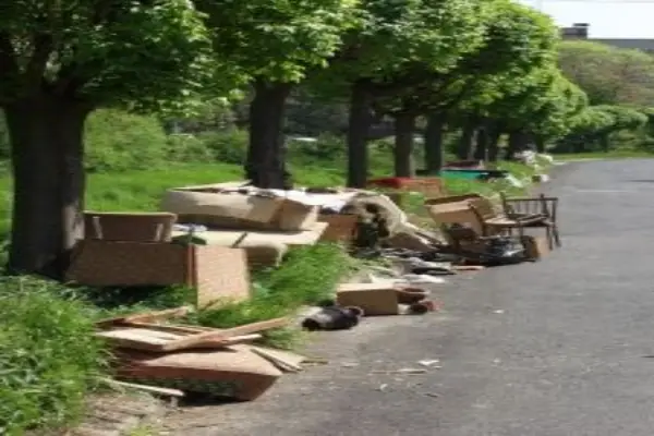 throw-sth-out-1440604-m