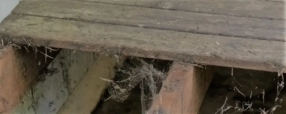 when-your-backyard-deck-can-no-longer-hold-up-1