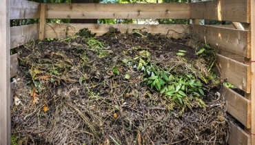 Why Yard Waste Can Be Beneficial