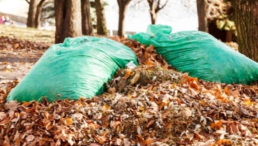 Yard Waste And Other Organic Waste: Why Recycle