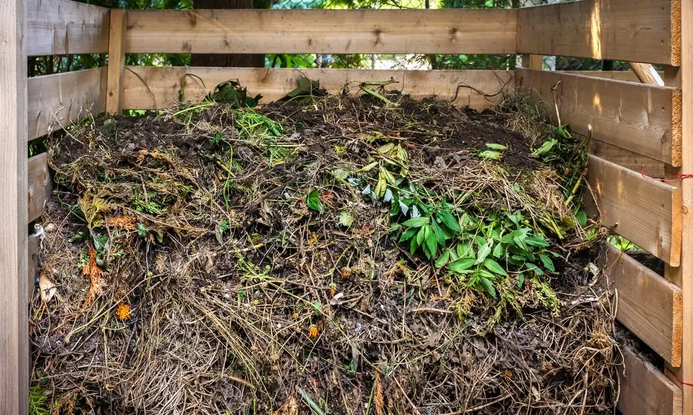 Yard Waste Worcester