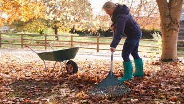 Yes, You Can Work On Your Yard Clean Up In The Winter!