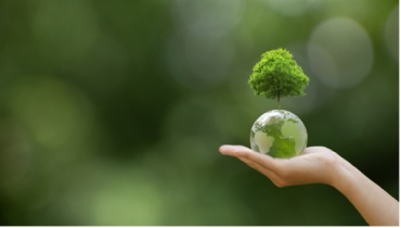 Earth Day is Over Here's How to Celebrate the Planet All Year Long