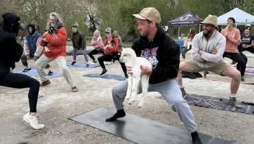Junk King Reno Partners with GreenVibe World for Annual Goat Fest.